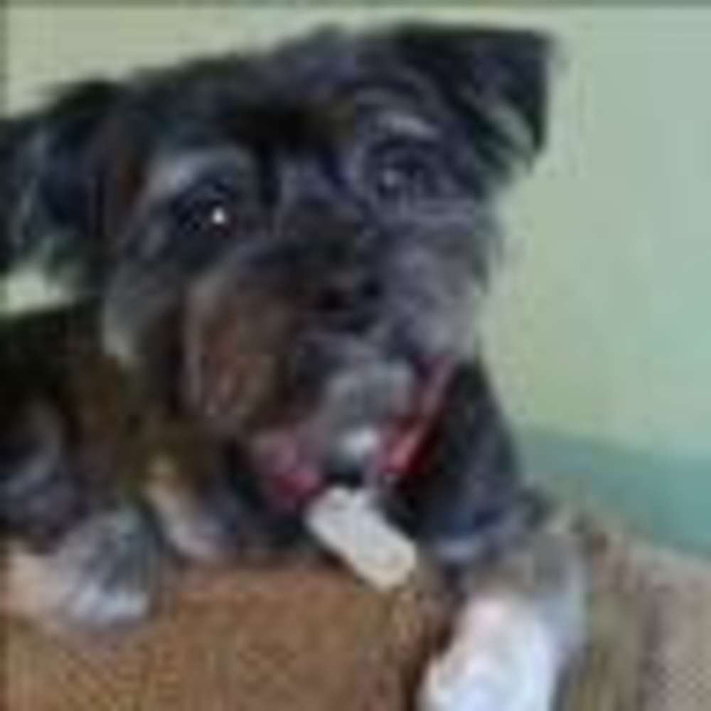 Meet your Posher, Linda